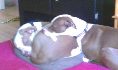 Chopper and Lilah