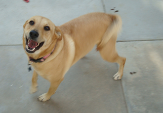 Ellie