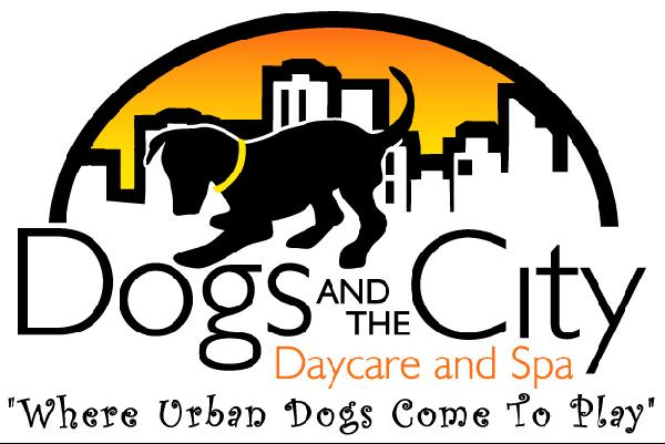 Dog and the City
