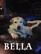 Bella