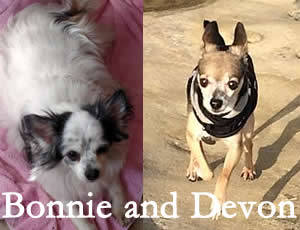 Bonnie and Devon