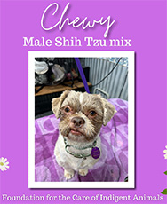 Chewy