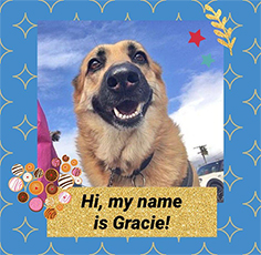 Gracie