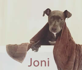 Joni