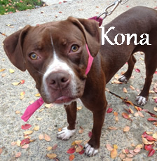 Kona