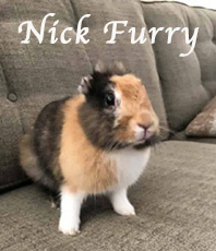 Nick Furry