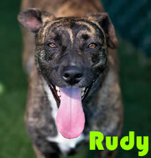 Rudy